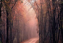 [CBA]常规赛1月14日：辽宁VS上海.