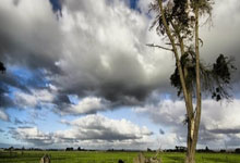 图多尔:我们只训练两三次&能做的改变有限,希望球队更直接进攻.