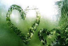 Shams:杜兰特因左脚踝扭伤预计将缺席至少一周.