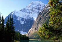 中国男子冰球遗憾无缘奖牌:“今天输掉的,我们总有一天会打回来”新晚报.