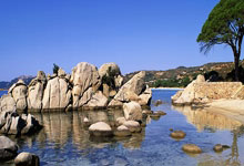 2025中国网球公开赛贵宾款待项目合作伙伴招募的公告.